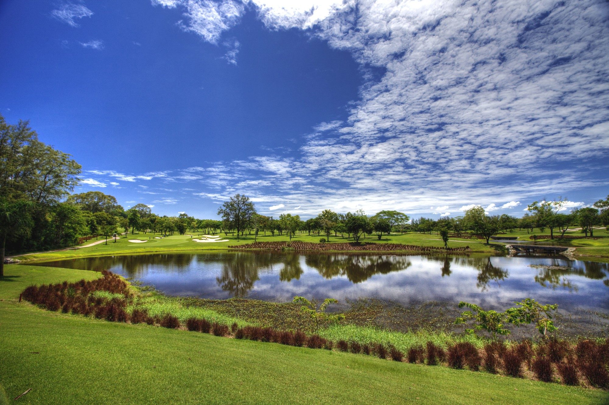 Old Course #8.2